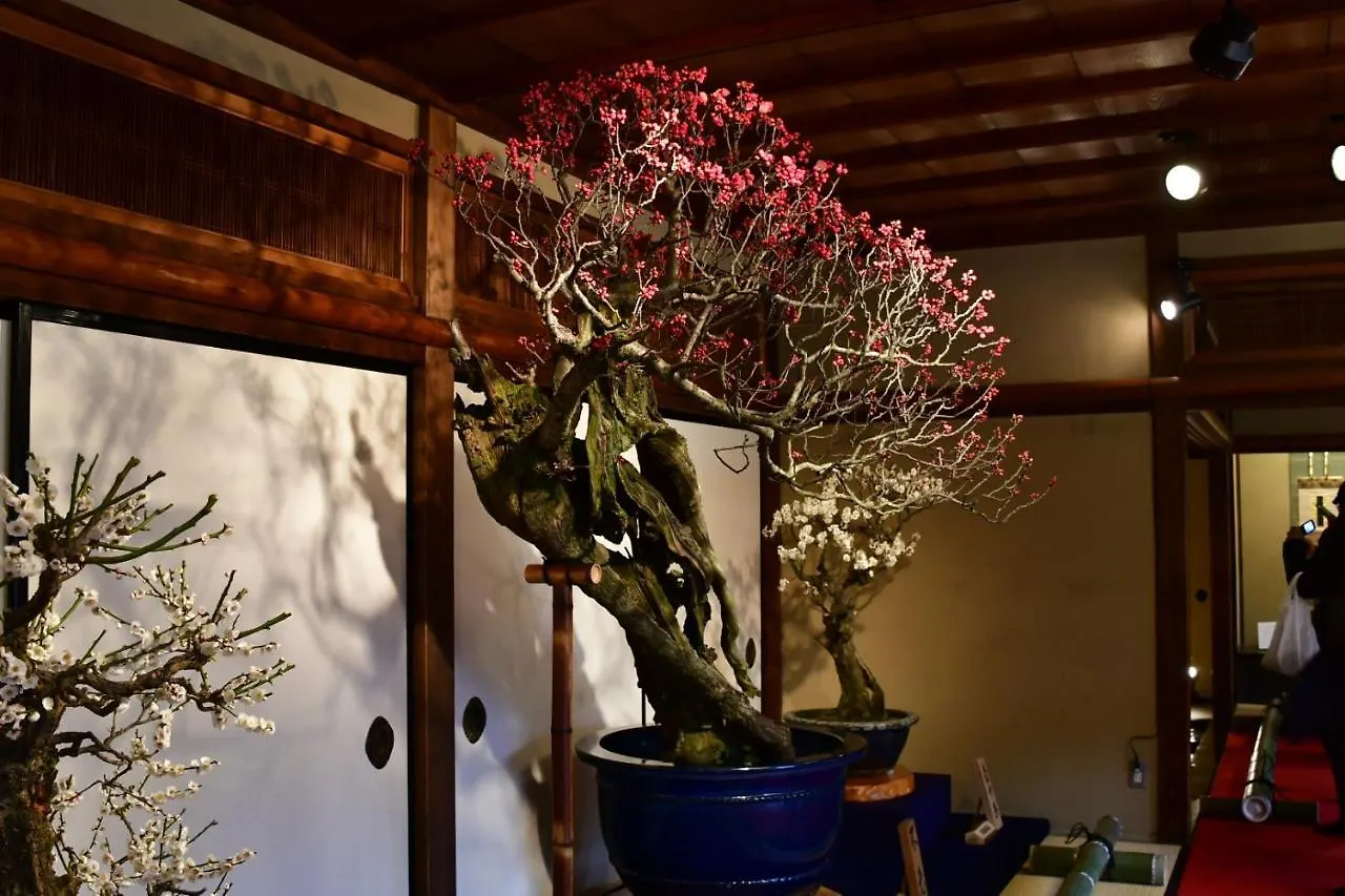 교토 Cozy House 411 Free Wifi A Rented Electric Bicycle 아파트 일본